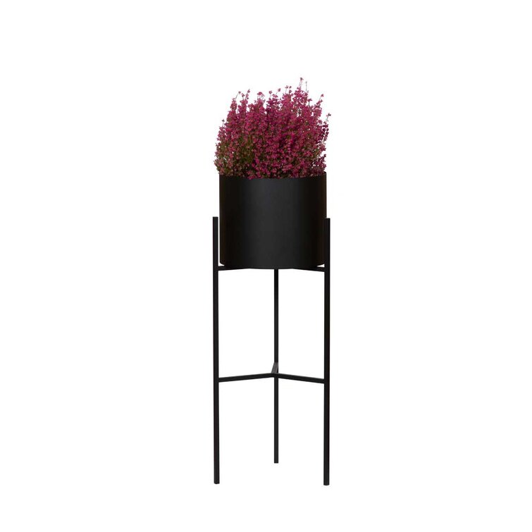 Ebern Designs Crislynn Round Pedestal Plant Stand | Wayfair.co.uk